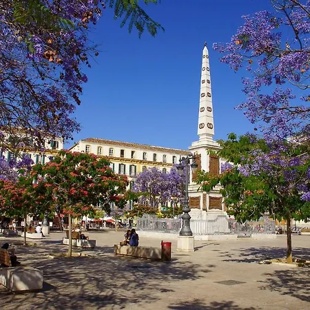 Del Parque Flats Flores Premium *
